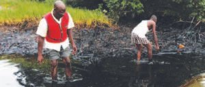 OIL SPILL: Again, vandals, oil thieves strike Shell twice, still counting