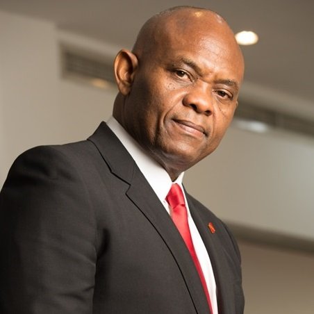 Privatize Transmission Company of Nigeria now, Elumelu cries out