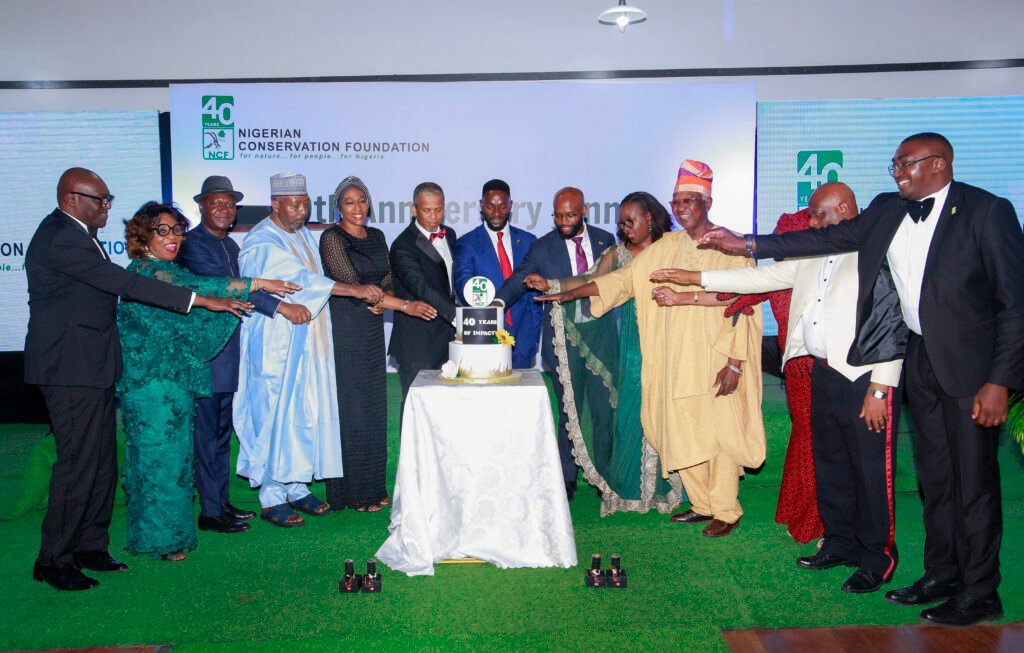 This digital gift code is good for purchases at Microsoft Store online, on Windows, and on Xbox.