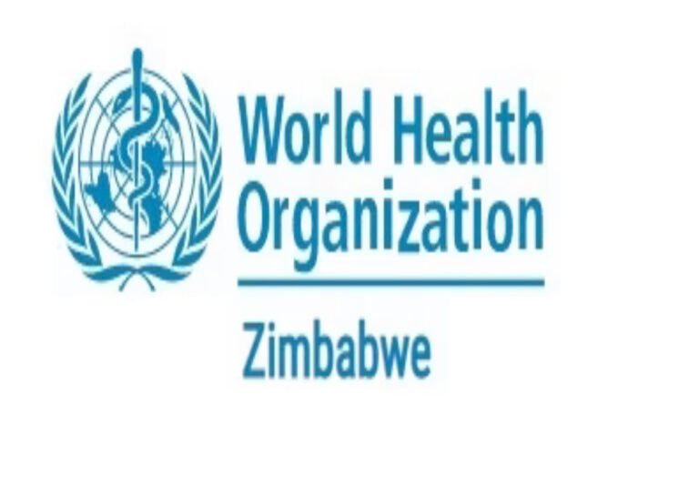 Strengthening EGASP implementation in Zimbabwe - TheDailyNG