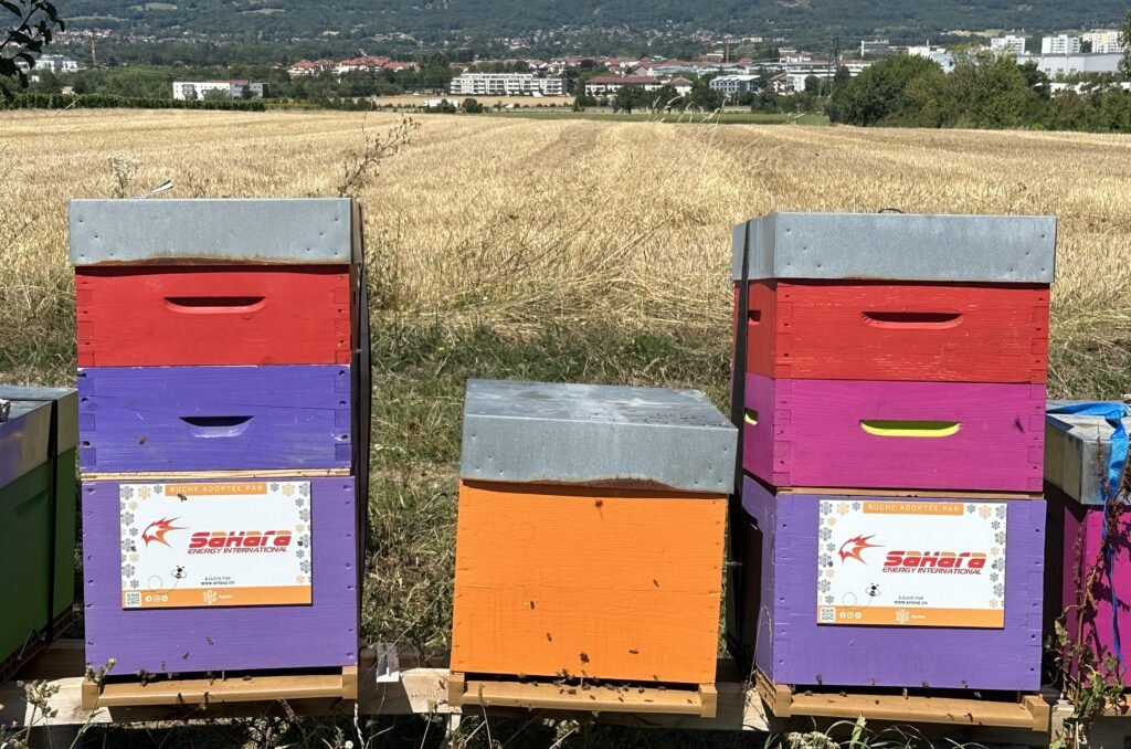 Sahara Energy Geneva adopts beehives to promote sustainability