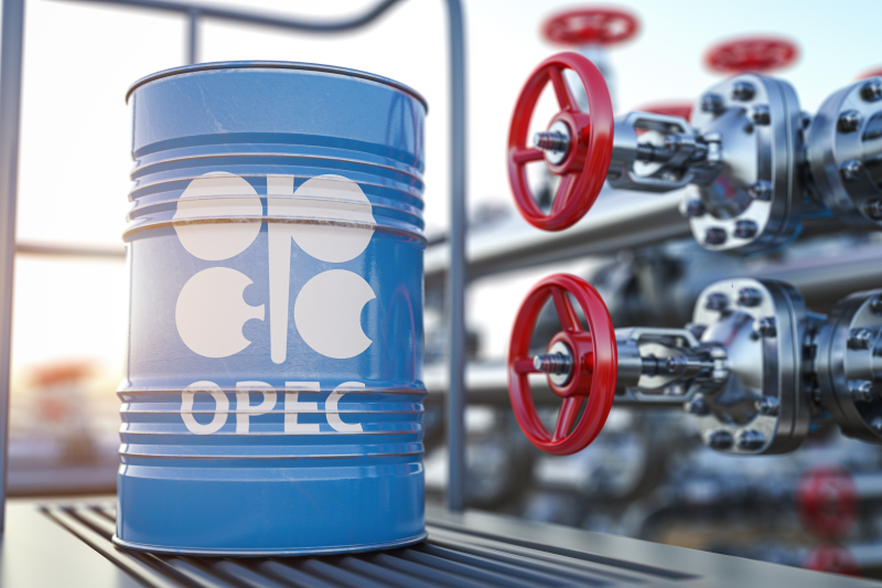 OIL MARKET: Prices hover at over $80 per barrel OPEC+ announce additional voluntary cuts
