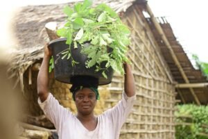 NCF Boost Livelihood Support of Over 1000 People, Plants Over 250,000 Trees
