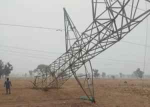 Two Towers Collapsed Along Ahoada - Yenagoa 132kv line, after Vandals Attack