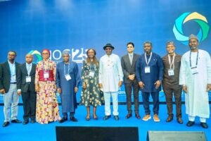 Esso Exploration and Production Nigeria (Offshore East) Limited starts Usan Infill Project