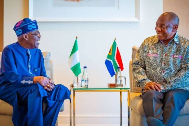 Nigeria-South Africa row: AEC advises against politicising energy ties
